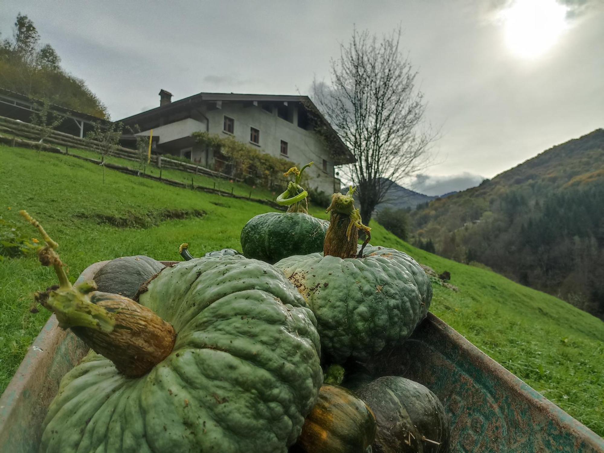 Agriturismo Cascina Cornella Cremeno Екстериор снимка