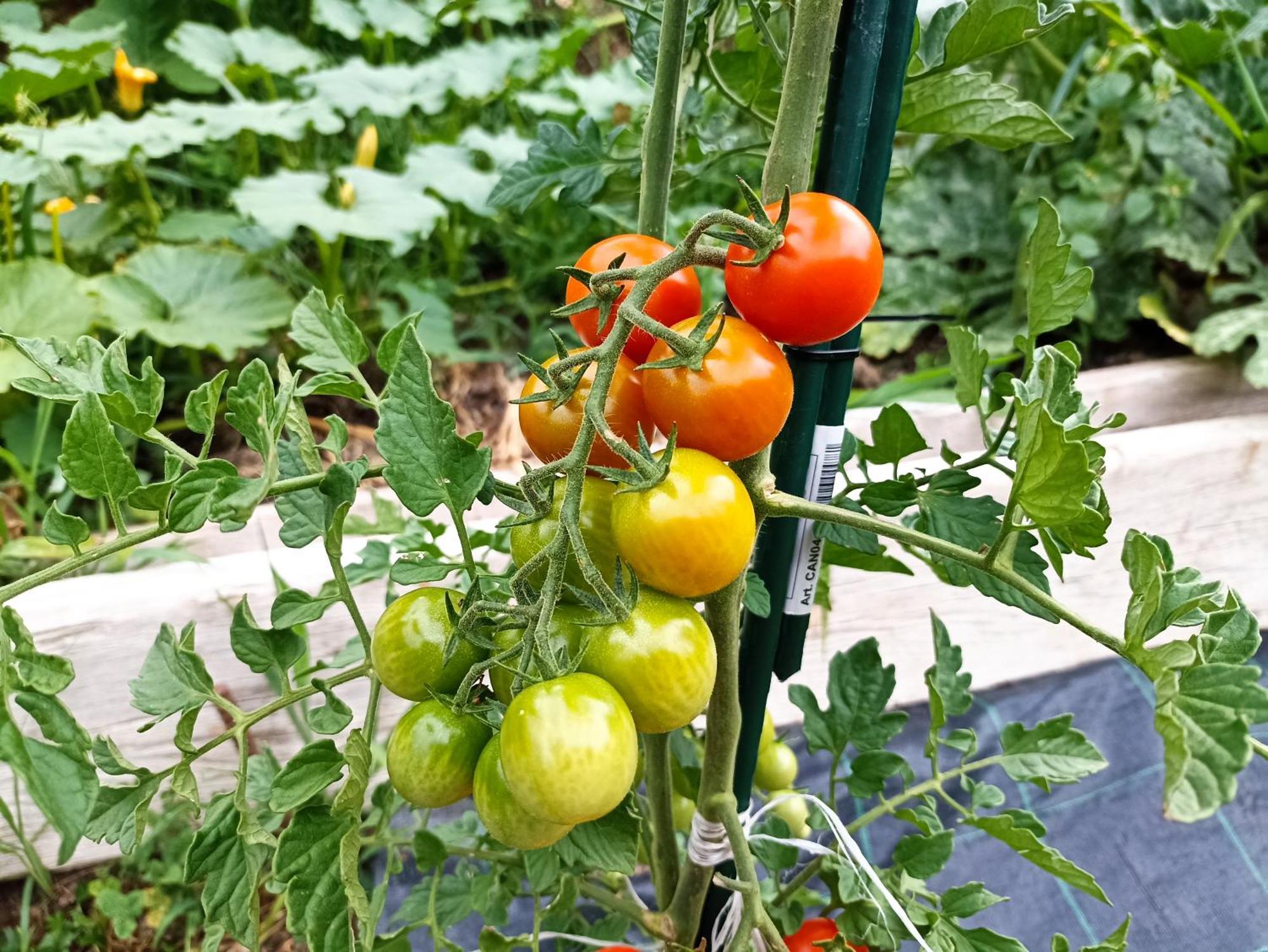 Agriturismo Cascina Cornella Cremeno Екстериор снимка