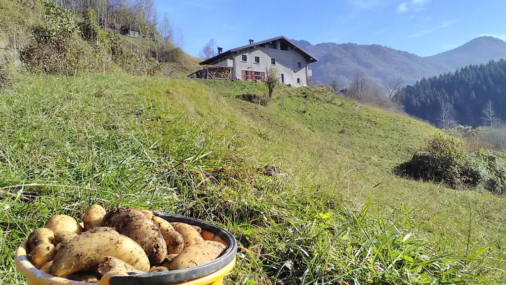 Agriturismo Cascina Cornella Cremeno Екстериор снимка